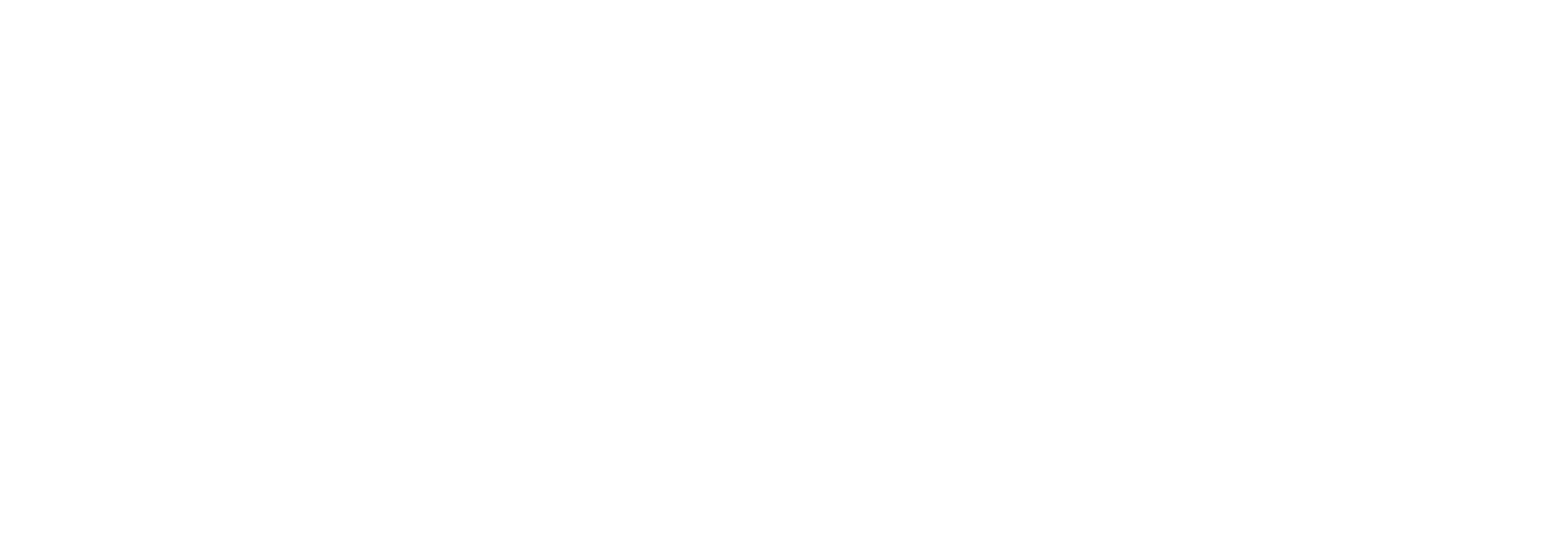 Logo2